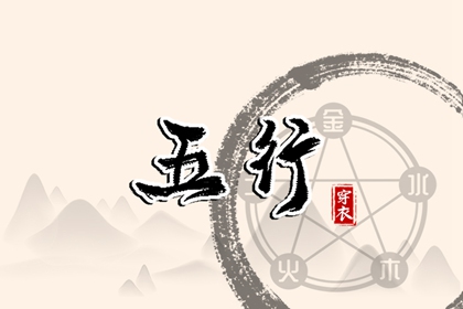 如何高效使用查询工具